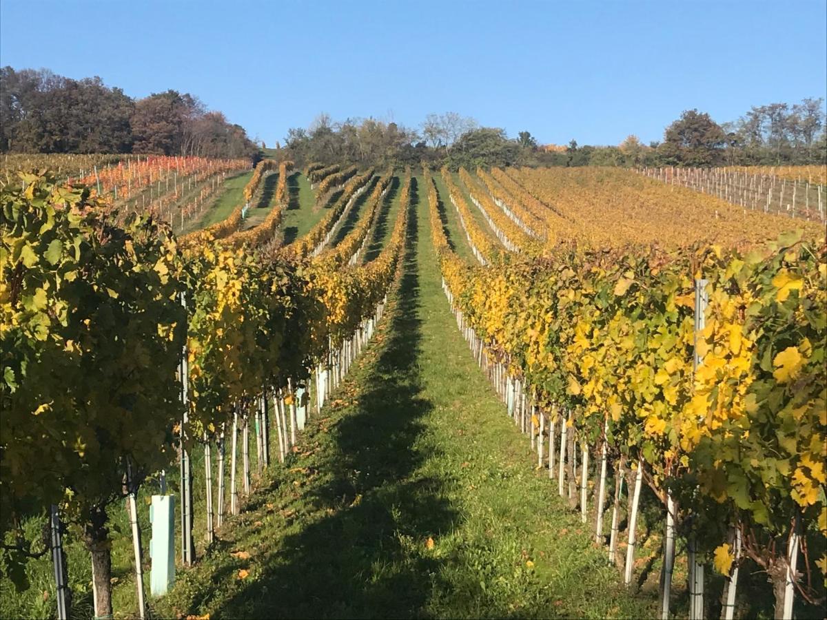 Weingut & Gastezimmer Edelmann Göttlesbrunn 外观 照片