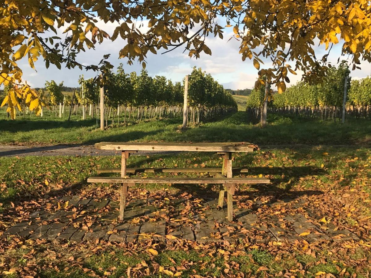 Weingut & Gastezimmer Edelmann Göttlesbrunn 外观 照片