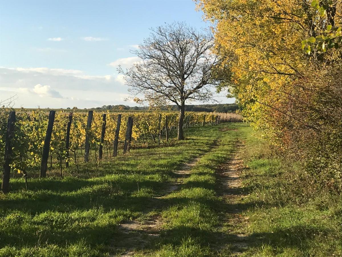 Weingut & Gastezimmer Edelmann Göttlesbrunn 外观 照片
